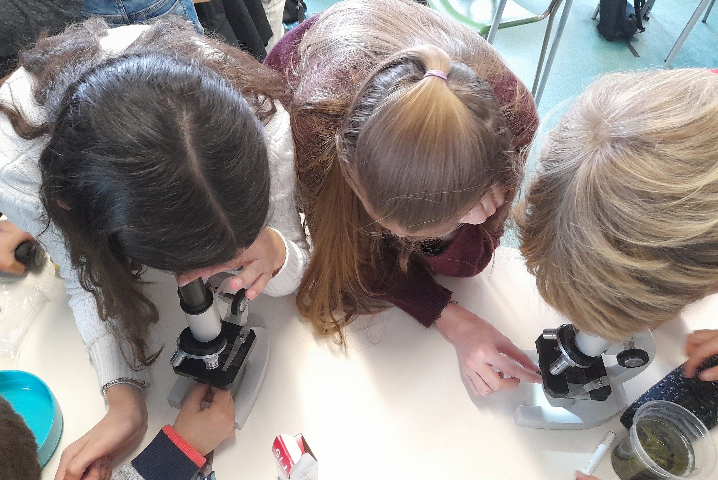 Scuola Kolbe Lecco